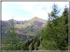 foto Da Forcella Montalon a Val Campelle